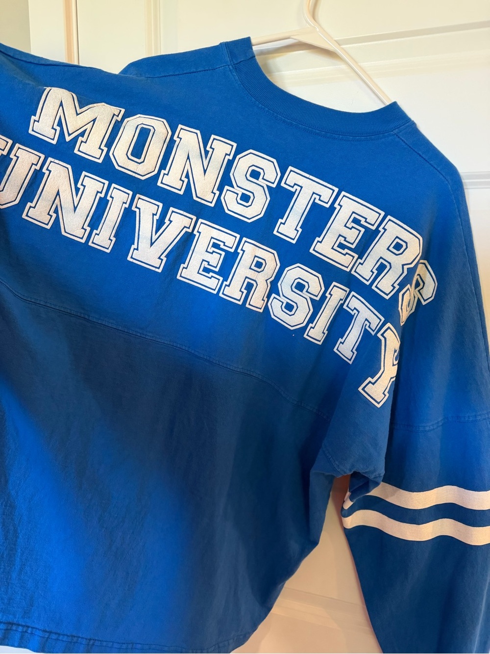 Disney Spirit Jersey